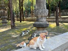 -四门塔风景区