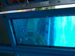 android_upload_pic-云湖游乐园