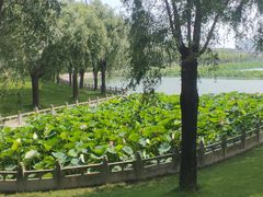 -南戴河国际娱乐中心