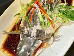 -旺金鸽(穗盐路总店)