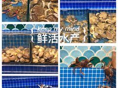 -乔哥铭洋海鲜自助(皇城恒隆广场店)