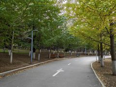 -长白岛森林公园