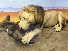 -国家自然博物馆