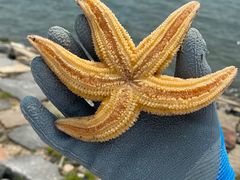 -东戴河风景区-止锚湾