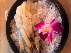 -牛New寿喜烧(金鹰世界店)