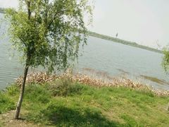 -南湖湿地公园