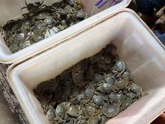 -陈家镇裕安农贸市场