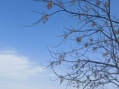 -良渚古城遗址公园