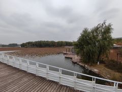 -大兴滨河森林公园