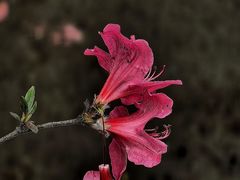 -上海植物园-4号门售票处