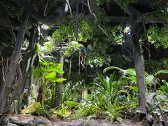 -江和美海洋公园