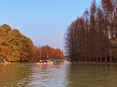 -上海海湾国家森林公园