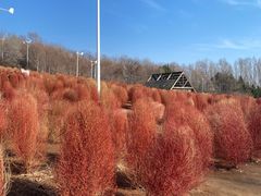 -沈阳植物园