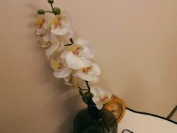点击看大图 -恒美雅轩·品牌直营连锁