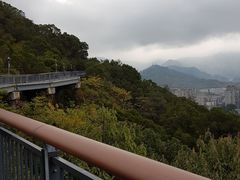 -金鸡山公园