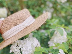 -上海滨江森林公园