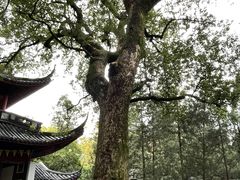 -岳王庙