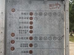 -前小桔亲子创意农场·草莓采摘·露营烧烤