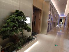 -新美姿美食水疗汇(罗湖口岸店)