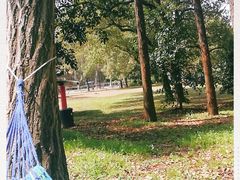 -共青国家森林公园-南大门停车场