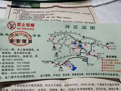 -武陵山森林公园