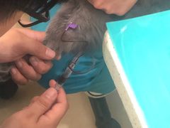 -美迦爱-牙专科·兔科·骨科诊疗中心(北苑店)