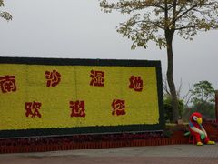 景点-大湾区中央湿地公园