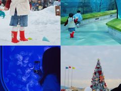 -福州罗源湾海洋世界旅游区