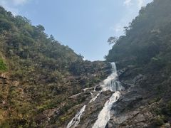 -海南热带雨林国家公园吊罗山景区