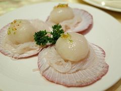 -8餐厅(新葡京酒店)