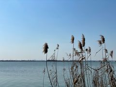 -漕湖湿地公园