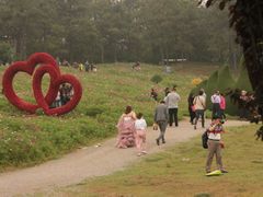 -大塘金香草谷