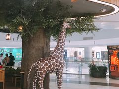 -凯德广场(学府店)