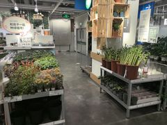 -宜家家居(哈尔滨商场店)