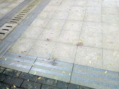 -牛塘山文化览胜景区