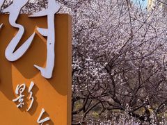 -前关湿地公园