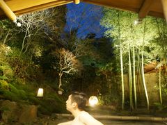 -有马温泉 竹取亭円山温泉旅馆