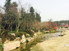 -秀丽东方