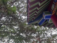 -青龙山国家森林公园
