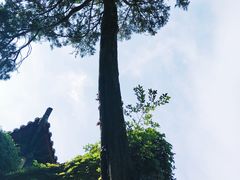 -青岛崂山太清宫