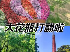 -徐家汇公园
