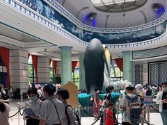 -帝企鹅自助餐厅•儿童岛•真企鹅(长隆企鹅酒店)