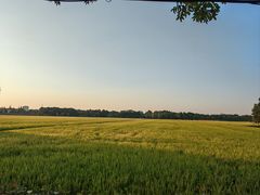 -嘉北郊野公园