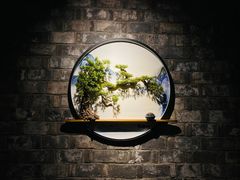 -竹雨堂创意中国菜(裕华店)