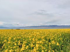 -青海湖国家重点风景名胜区