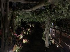 -花之城