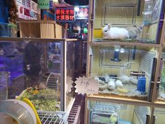 -宝鸡东道花鸟鱼虫市场(吉利花园商场店)