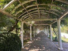 -苏州上方山国家森林公园