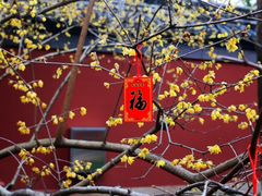 -钱王祠