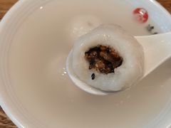 海丝金凤元宵圆-海丝金凤(金鱼店)